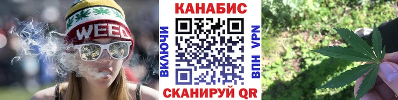 Конопля индика как найти закладки Звенигород